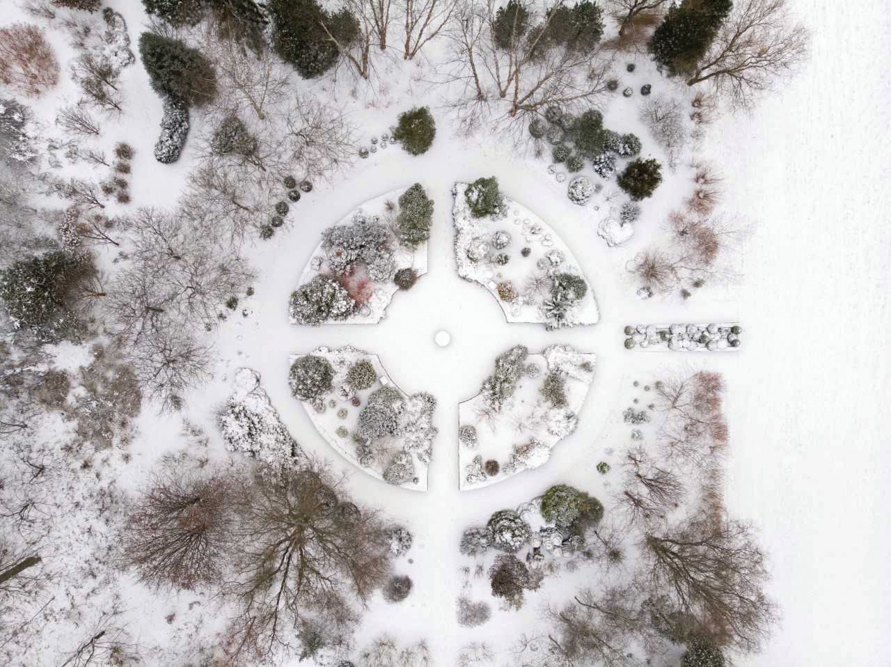 The winter garden at Cornell Botanic Gardens features a central courtyard and concentric circles. Evergreens, holly, and other plants are woven into solstice traditions around the world.